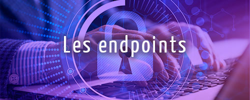 image article les endpoints